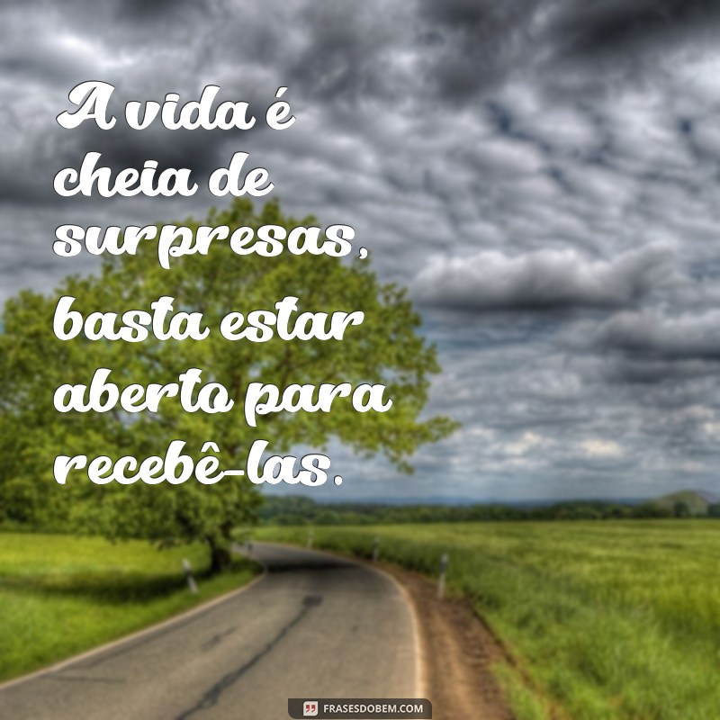 frases a vida é cheia de surpresa A vida é cheia de surpresas, basta estar aberto para recebê-las.