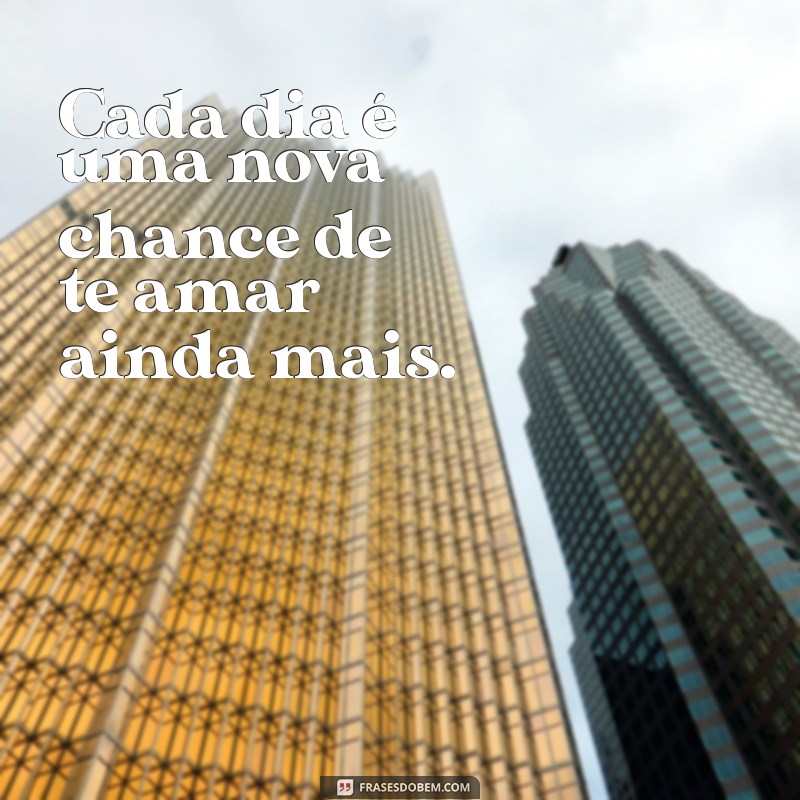 50 Frases Românticas para Casais: Inspire o Amor e a Conexão 