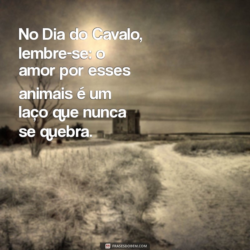 Frases Inspiradoras para Celebrar o Dia do Cavalo 