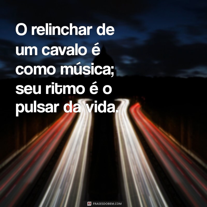 Frases Inspiradoras para Celebrar o Dia do Cavalo 