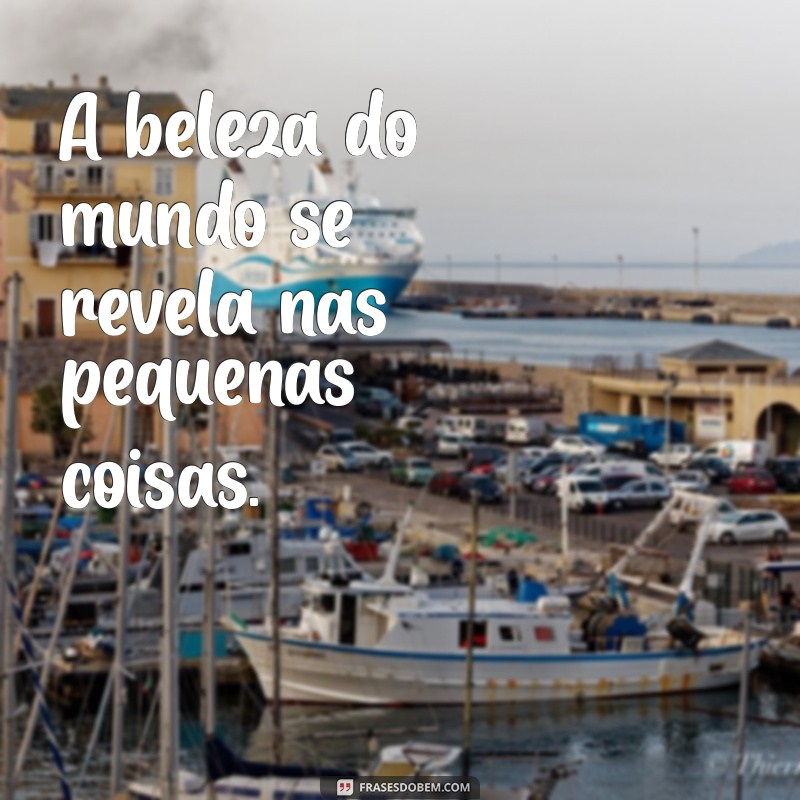 Frases Inspiradoras para Acompanhar Suas Fotos Lindas 