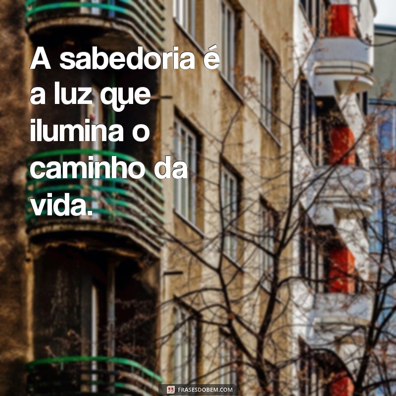 proverbio 9 A sabedoria é a luz que ilumina o caminho da vida.