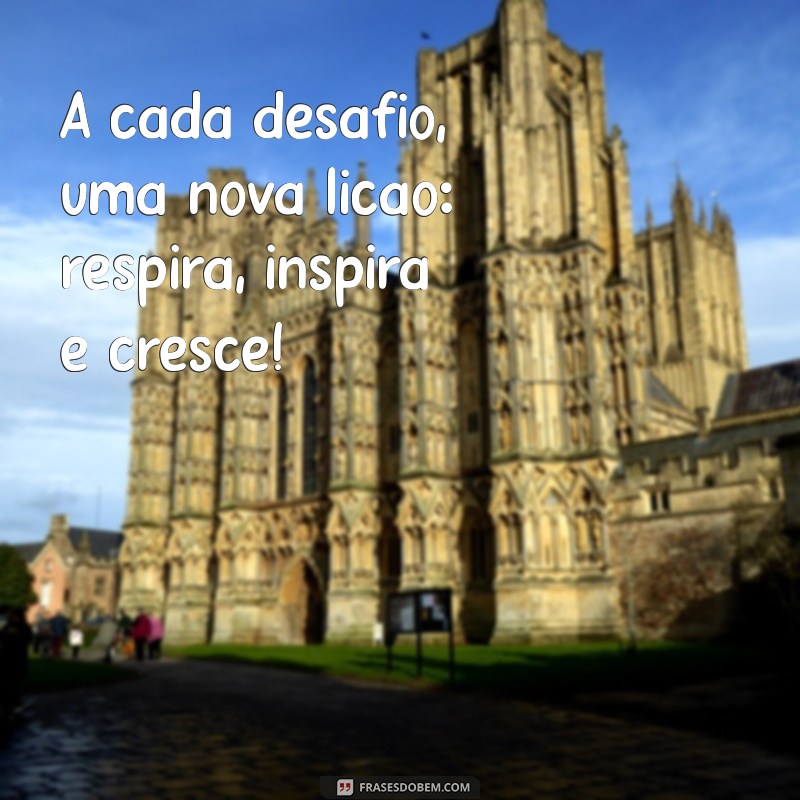 Frases Inspiradoras: Respire, Inspire e Não Pire! 