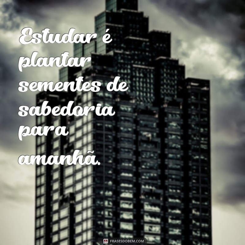 Frases Inspiradoras para Celebrar o Dia do Estudante 