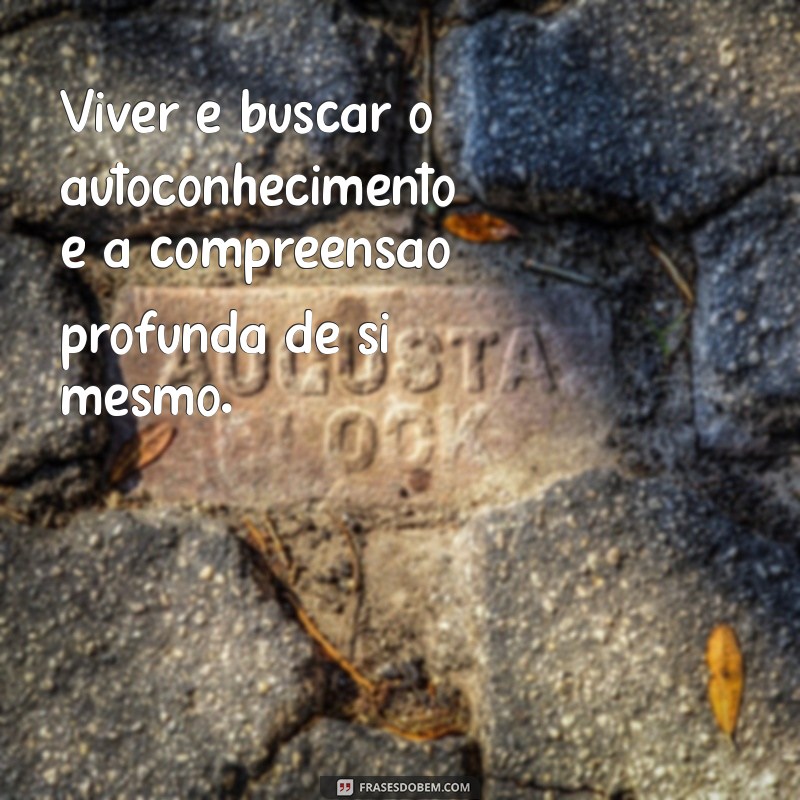 o que é viver segundo a filosofia Viver é buscar o autoconhecimento e a compreensão profunda de si mesmo.