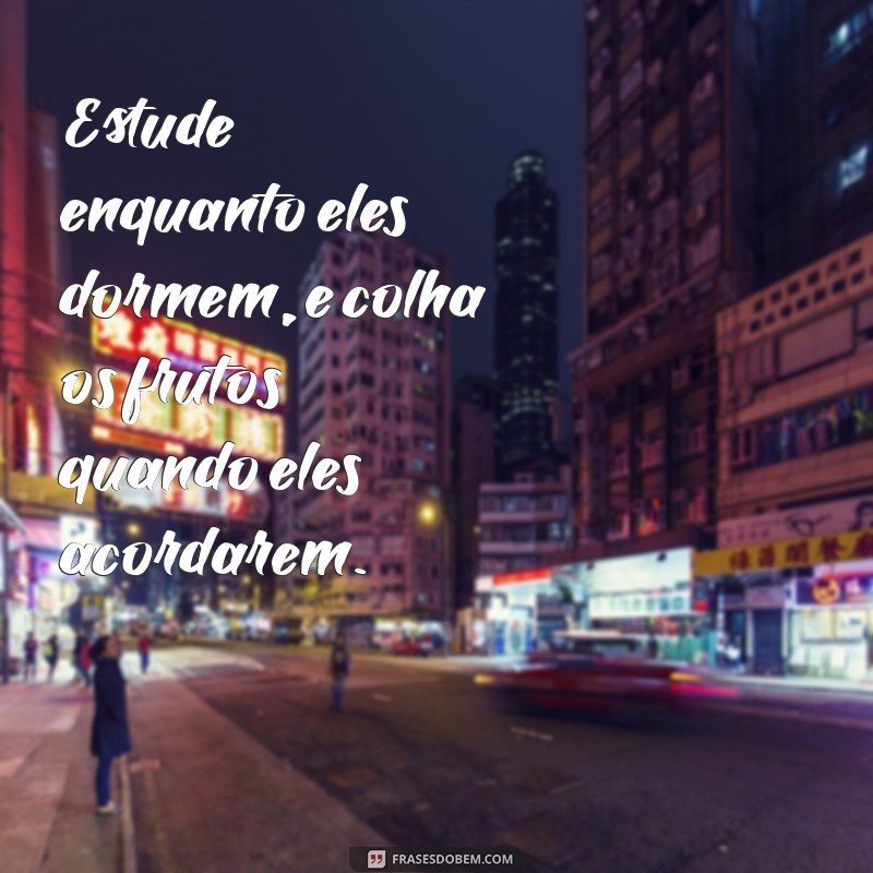 estude enquanto eles dormem Estude enquanto eles dormem, e colha os frutos quando eles acordarem.