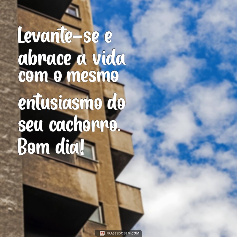 Mensagens de Bom Dia Inspiradas em Cachorros: Alegria e Amor para Começar o Dia 