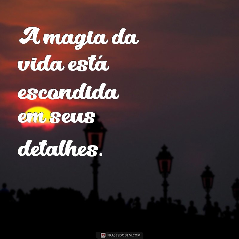 Frases Inspiradoras: A Importância dos Detalhes na Vida 