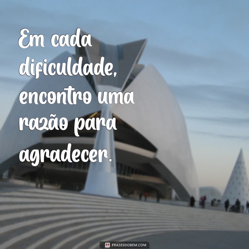 100 Frases Inspiradoras de Gratidão para Status que Encantam 