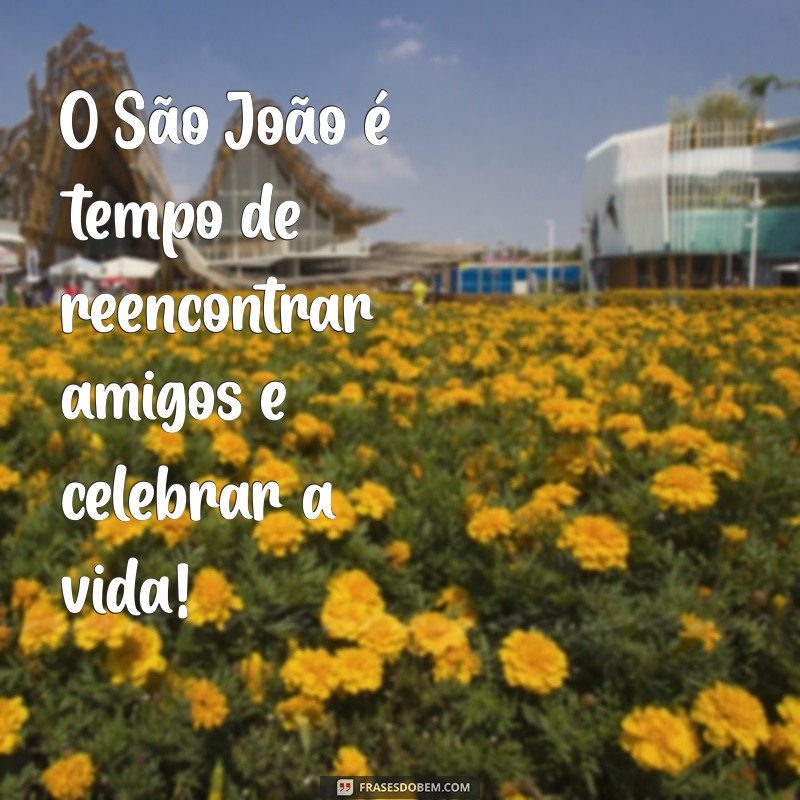 Frases Curtas e Criativas para Celebrar a Festa Junina 