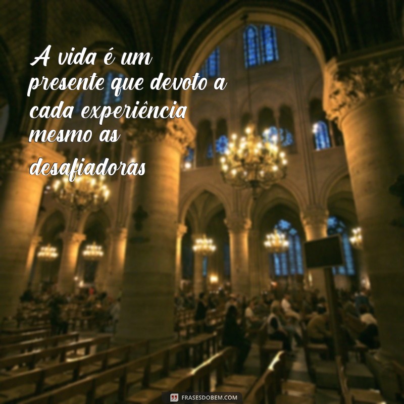 30 Frases Inspiradoras para Agradecer a Vida e Valorizar Cada Momento 