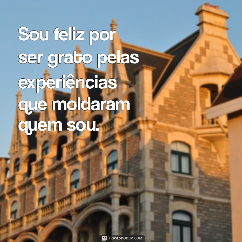 Frases Inspiradoras para Celebrar a Felicidade: Encontre Sua Alegria 