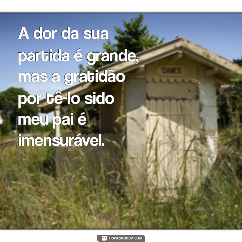 Como Lidar com a Perda: Mensagens Confortantes para a Morte do Pai 