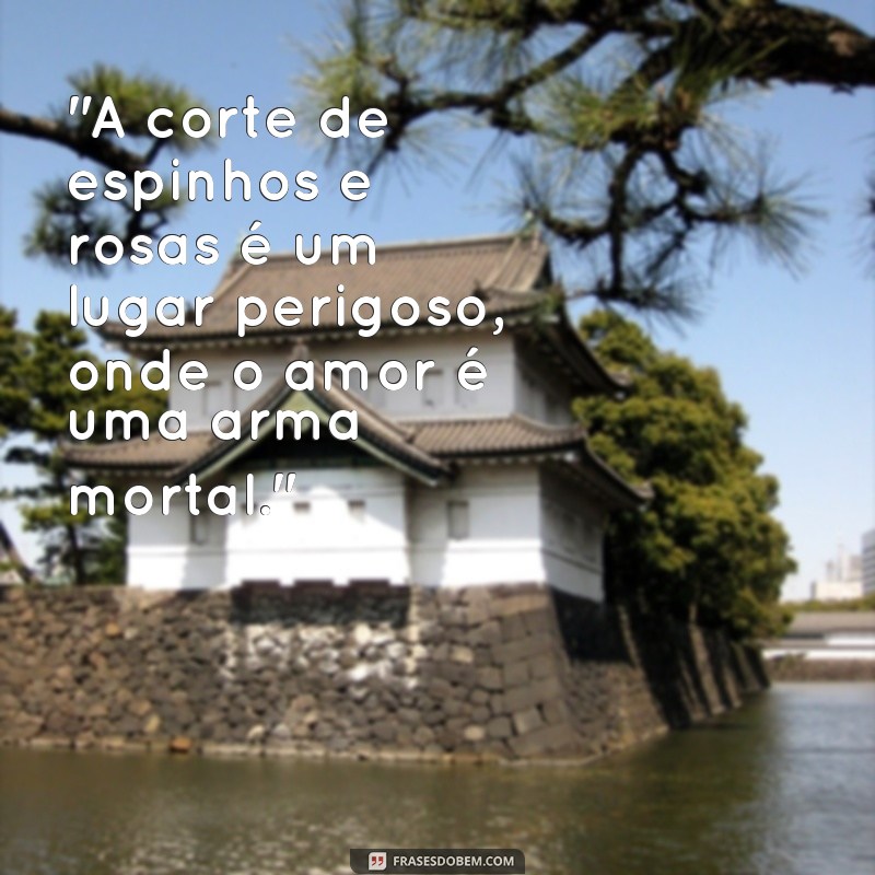 frases corte de espinhos e rosas 