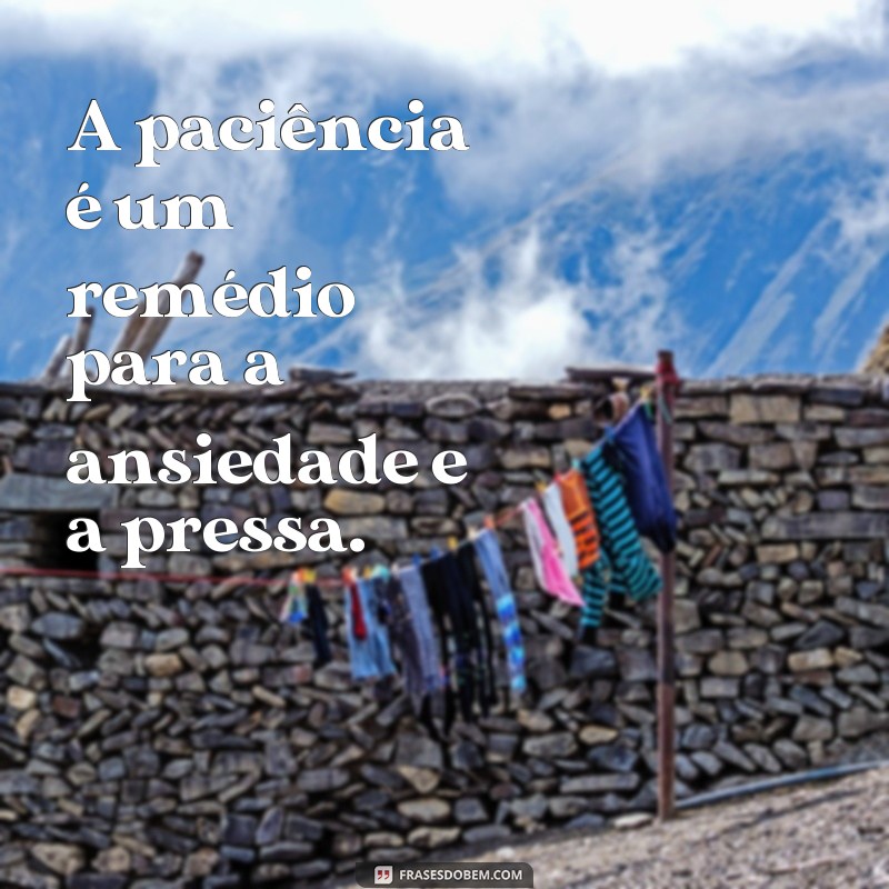 Descubra as melhores frases sobre paciência e inspire-se! 