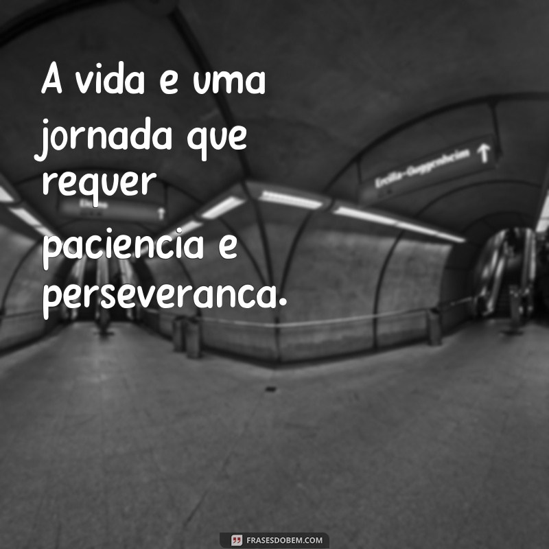 Descubra as melhores frases sobre paciência e inspire-se! 