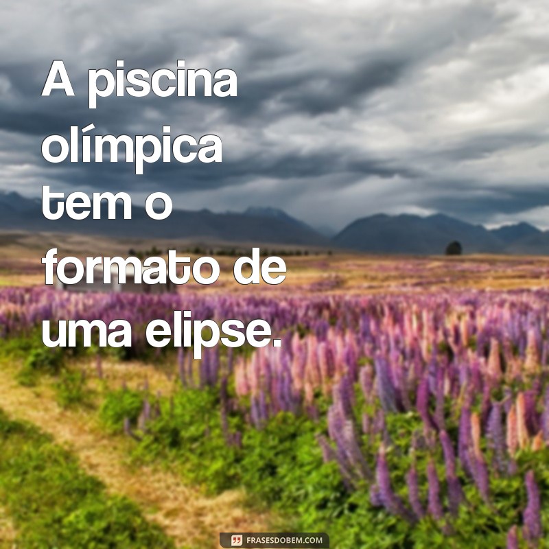 Descubra os melhores exemplos de frases utilizando a elipse 