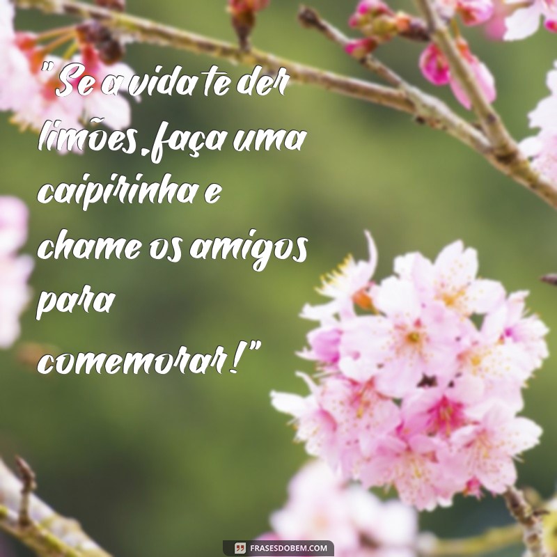 frases engraçadas para refletir 