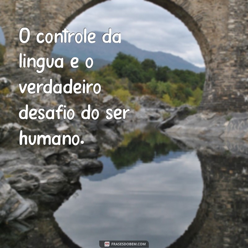 Tiago 3:2 - O Poder das Palavras e Seu Impacto em Nossa Vida 