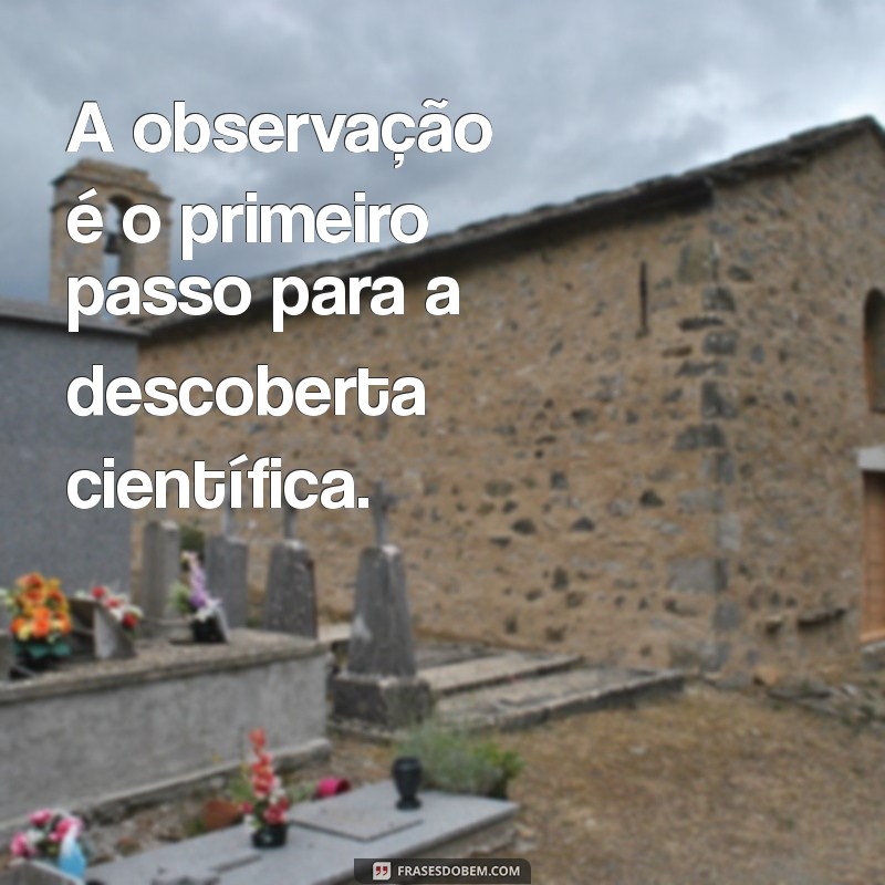 Como Ser um Professor de Ciências de Sucesso: Dicas e Estratégias Eficazes 