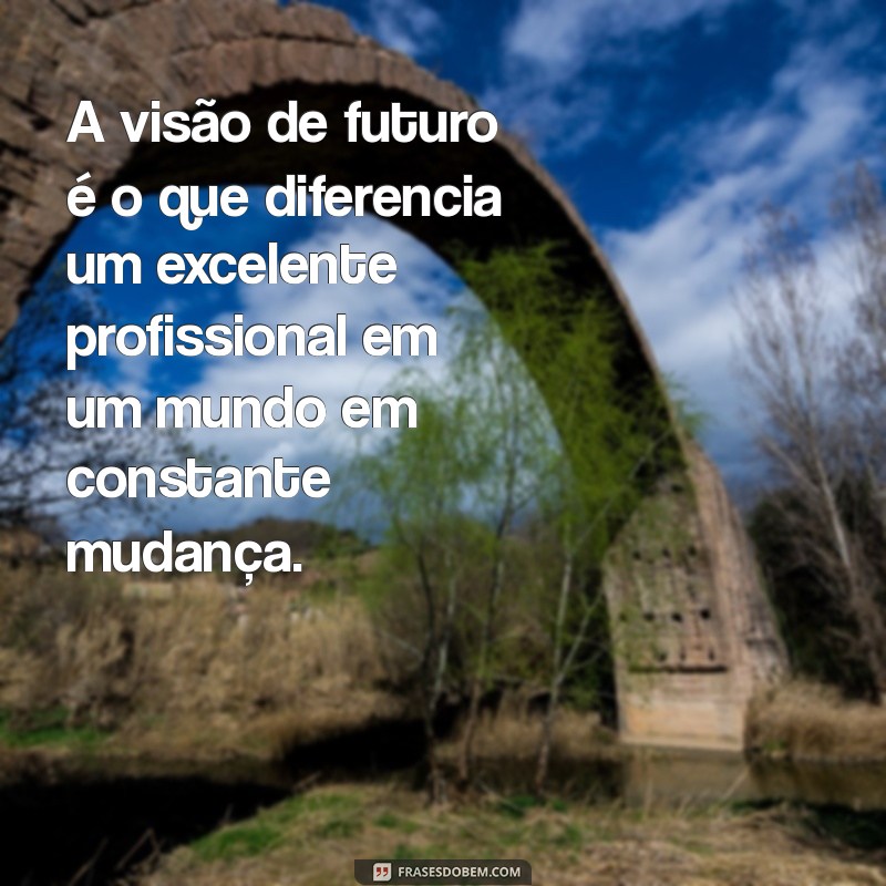 Frases Inspiradoras para Reconhecer um Excelente Profissional 