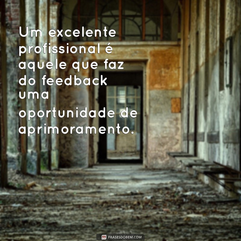 Frases Inspiradoras para Reconhecer um Excelente Profissional 