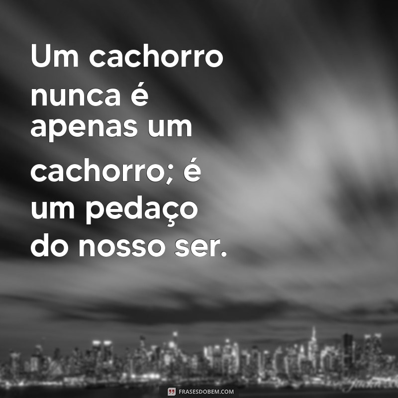 Frases Emocionantes para Lidar com a Perda do Seu Cachorro 