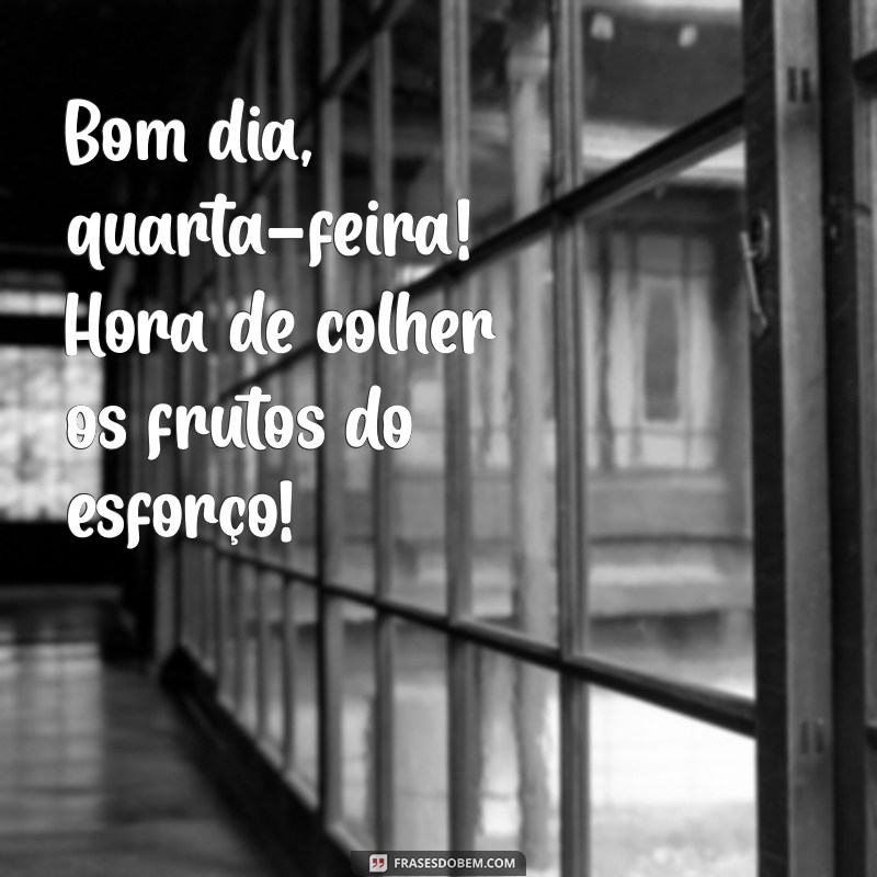 Bom Dia Quarta: Frases Inspiradoras para Começar o Dia com Energia 