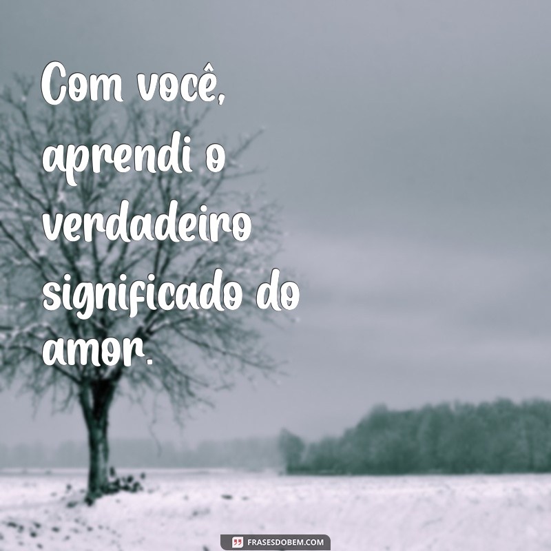 As Melhores Frases de Amor para Status: Expresse Seus Sentimentos 