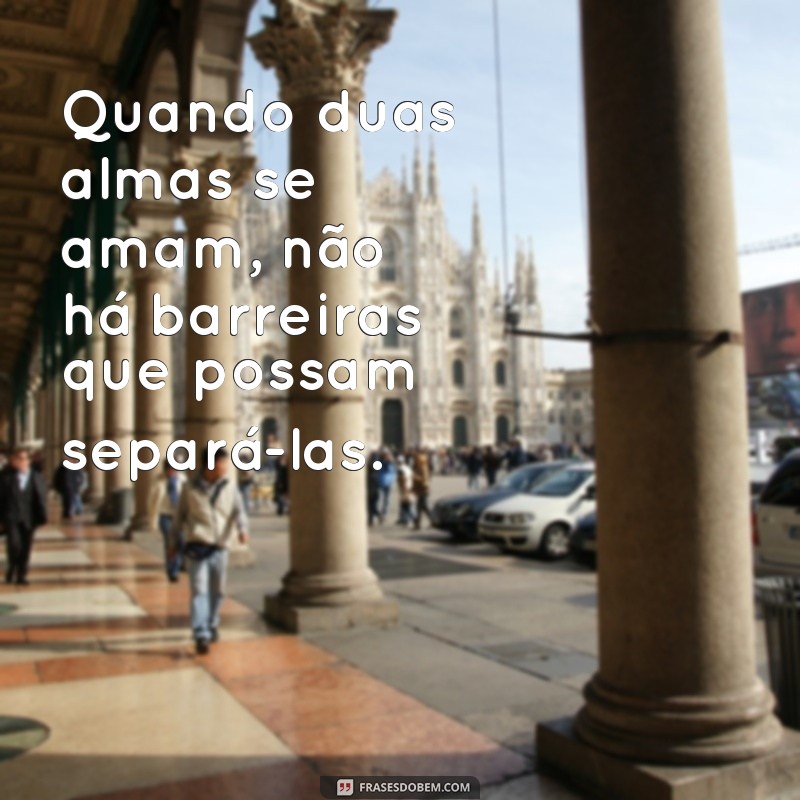 Descubra as mais belas imagens com frases de amor para se inspirar 