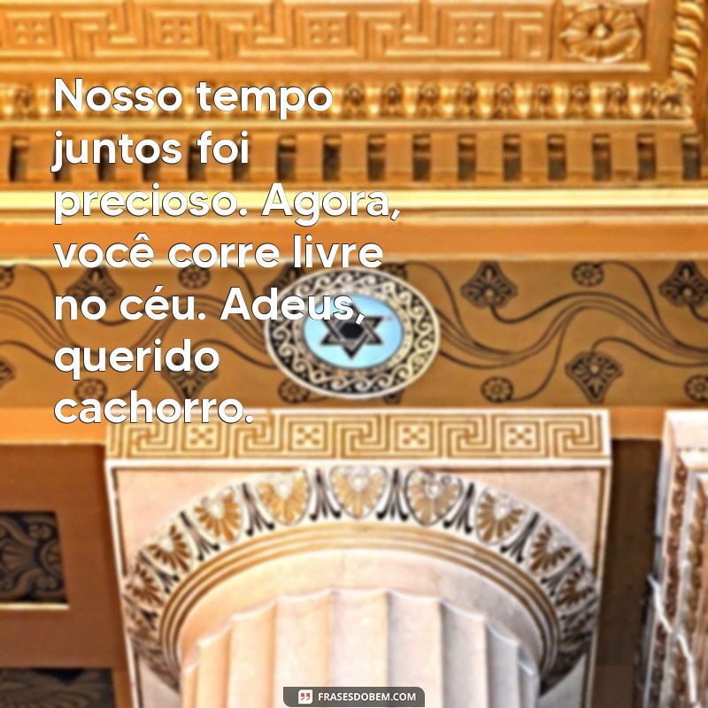 Emocionantes Mensagens de Despedida para seu Cachorro: Como Lidar com a Perda 