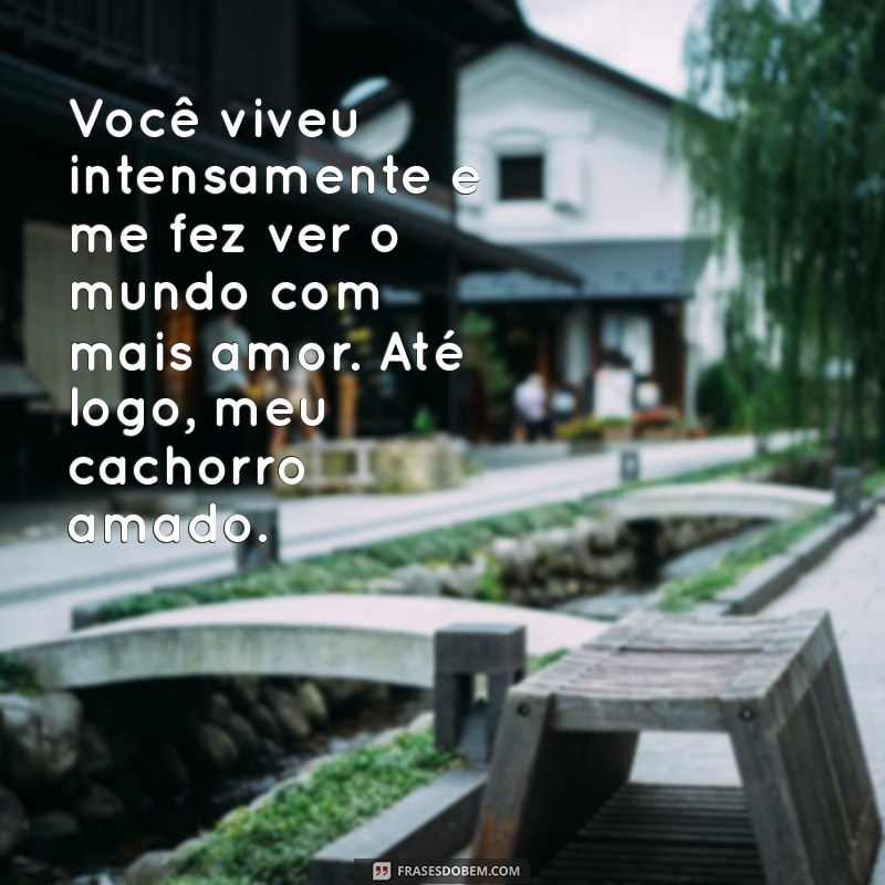 Emocionantes Mensagens de Despedida para seu Cachorro: Como Lidar com a Perda 