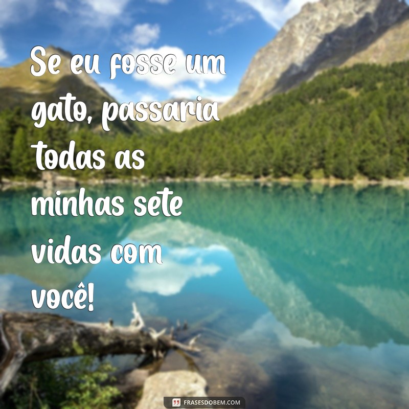 As Melhores Frases de Cantada Engraçadas para Arrasar na Paquera 