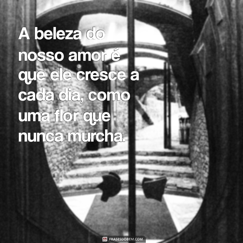 As Melhores Frases de Amor para Encantar Sua Pessoa Amada 