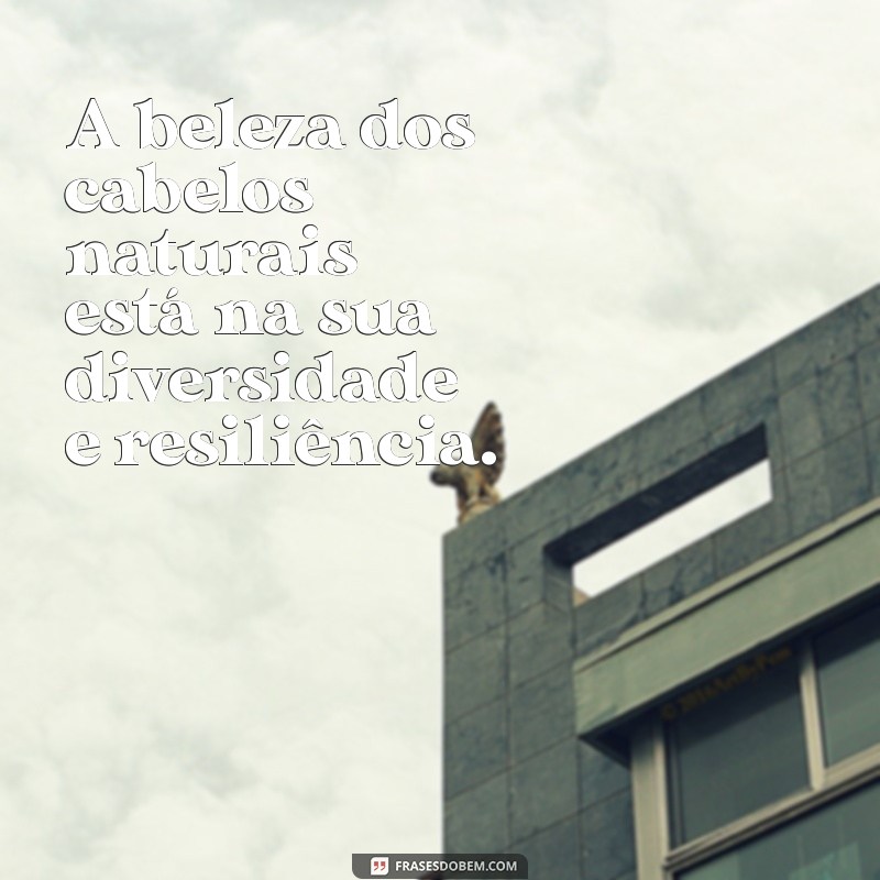 Frases Inspiradoras para Celebrar sua Transição Capilar 