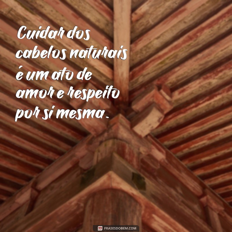 Frases Inspiradoras para Celebrar sua Transição Capilar 