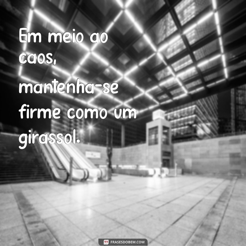 Frases Inspiradoras para Acompanhar Suas Fotos de Girassol 