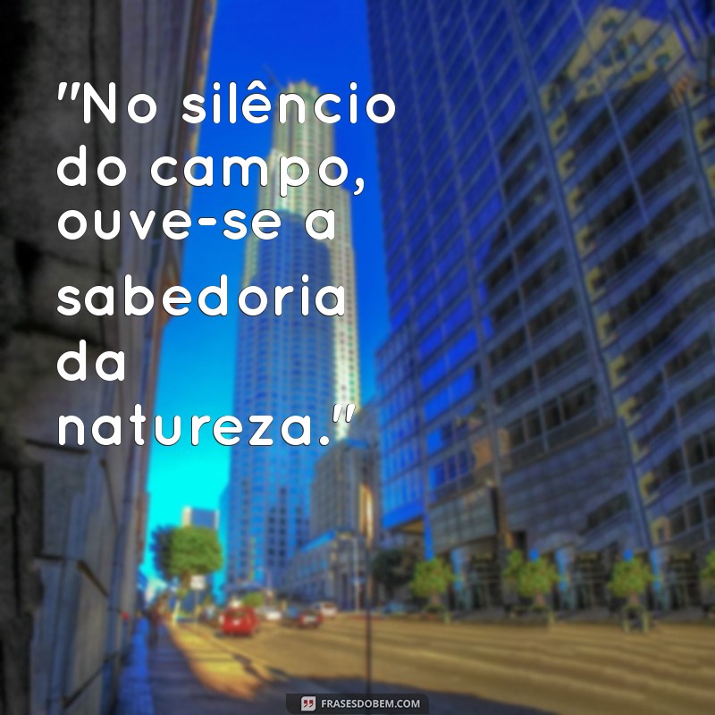 frases do campo 