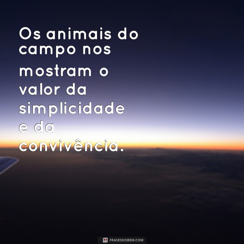 Frases Inspiradoras sobre o Campo: Conecte-se com a Natureza 