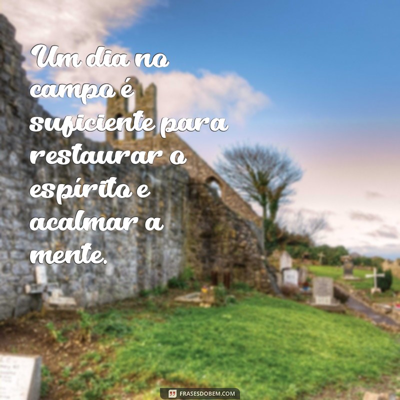 Frases Inspiradoras sobre o Campo: Conecte-se com a Natureza 