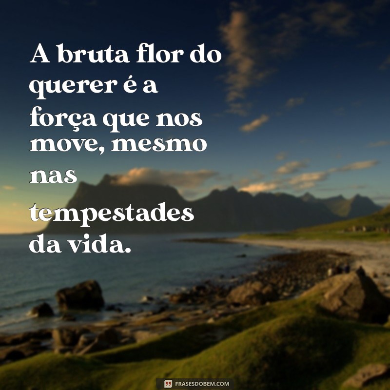 a bruta flor do querer A bruta flor do querer é a força que nos move, mesmo nas tempestades da vida.