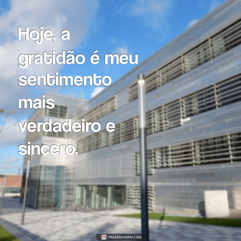 Cultivando a Gratidão: Como Apreciar Cada Dia da Sua Vida 