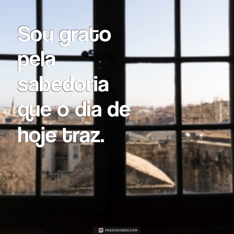 Cultivando a Gratidão: Como Apreciar Cada Dia da Sua Vida 