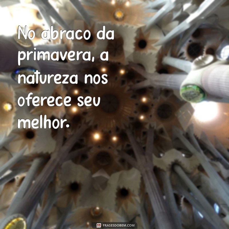 Frases Inspiradoras para Celebrar a Beleza da Primavera 