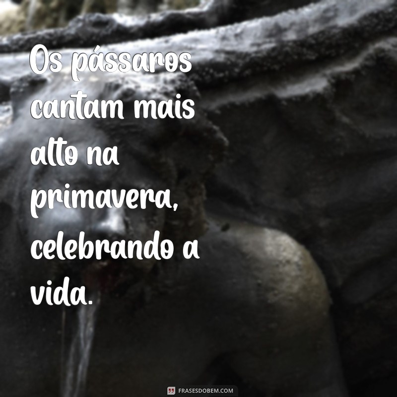 Frases Inspiradoras para Celebrar a Beleza da Primavera 