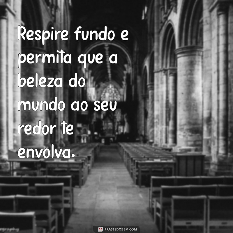 Descubra Frases Inspiradoras para Curtir a Vida ao Máximo 