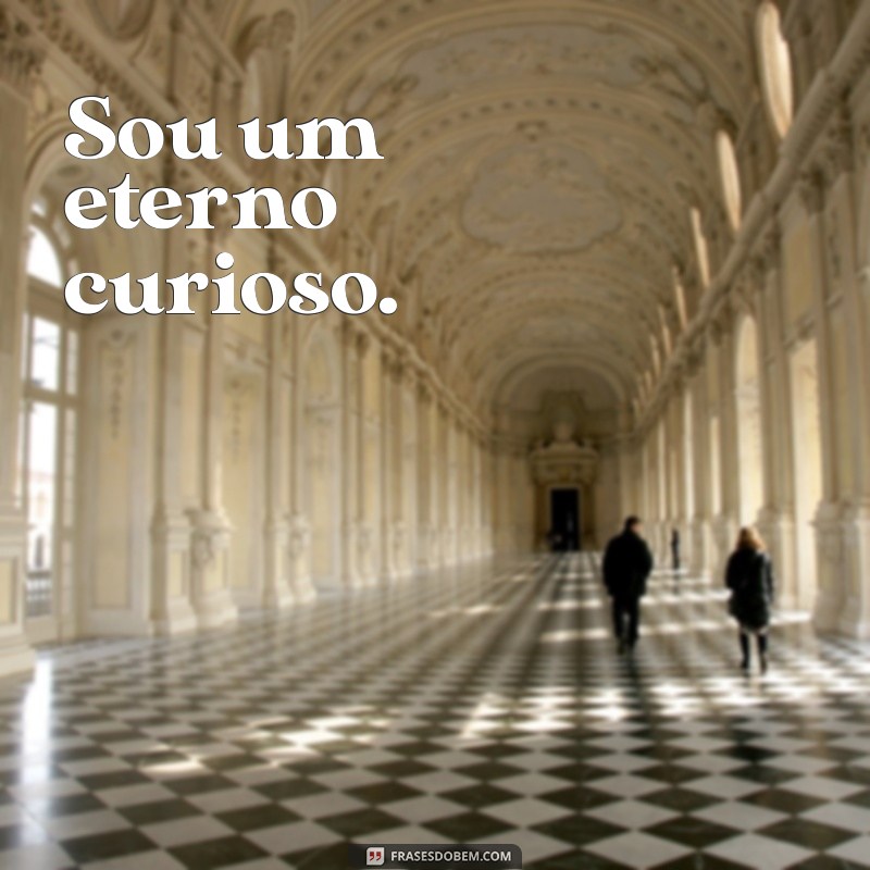 frases curtas sobre você Sou um eterno curioso.