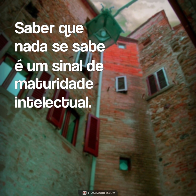 Descubra o Significado da Frase Só Sei Que Nada Sei: Reflexões sobre Sabedoria e Ignorância 