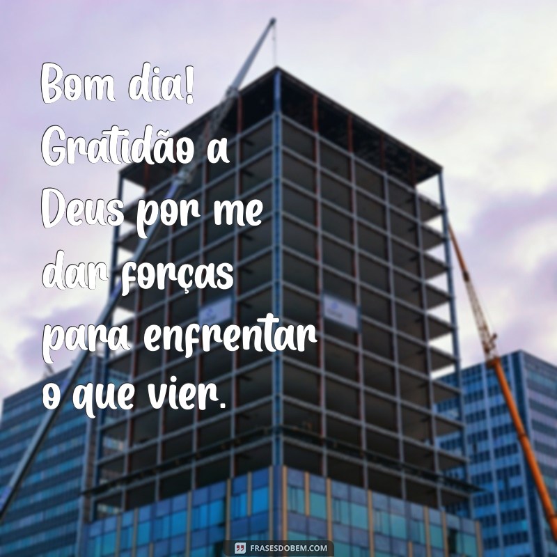 Bom Dia: Cultivando a Gratidão a Deus para um Novo Começo 