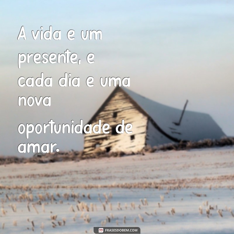 frases amor pela vida A vida é um presente, e cada dia é uma nova oportunidade de amar.